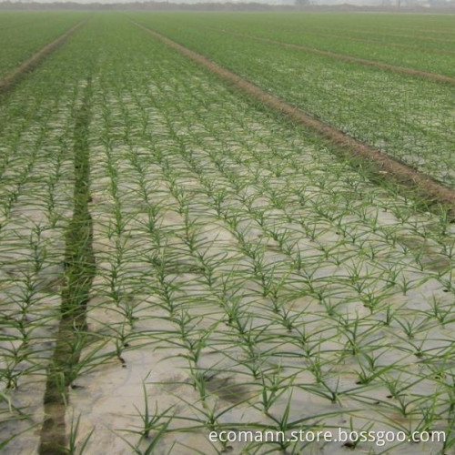 Sustainable 100% Biodegradable Agricultural Film